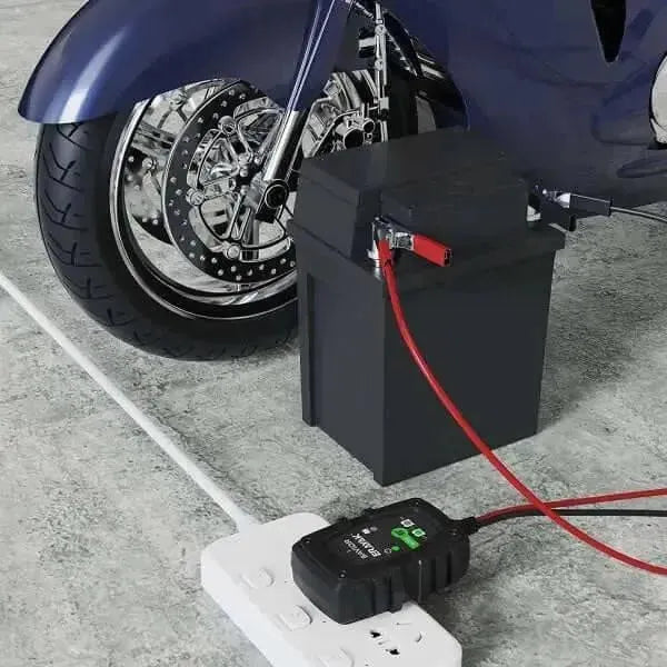 Erayak 1-Amp Fully-Automatic Smart Charger and Maintainer, 6V and 12V Battery Charger, Trickle Charger | Savior1 - Erayak Power